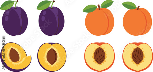 Plum and Peach Fruit Vector Set with Whole and Halved Fruits with Leaves for Food, Healthy Eating, Dessert, and Botanical Illustration Projects