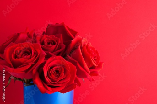 Roses in a Blue Vase Against a Bright Red Background