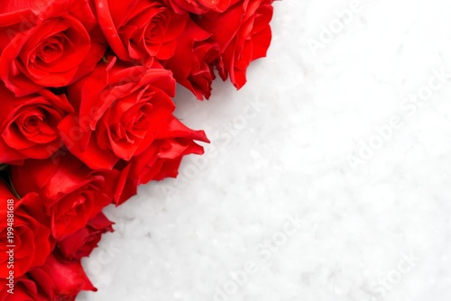 Roses in a Blue Vase Against a Bright Red Background