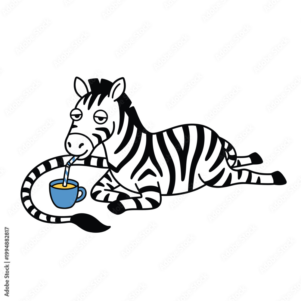 Fototapeta premium Zebra Lying Down Drinking from Cup with Straw