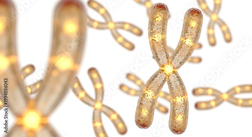A glowing illustration of chromosomes with yellow lights on a white background