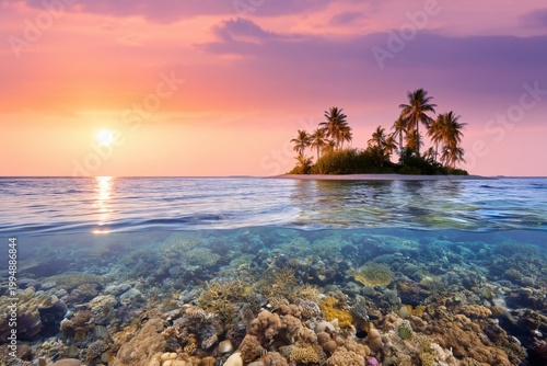 Coral Reef Under Water With Sunset and Island in Background Near Tropical Shore