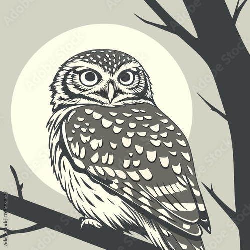 Owl sitting on tree branch graphic illustration with full moon, nocturnal