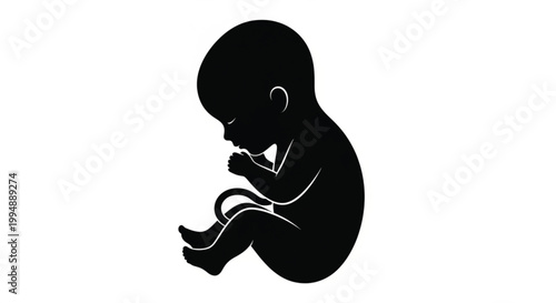 Baby Fetus Silhouette Vector Minimal Prenatal Development Illustration for Pregnancy Medical Healthcare Maternity Awareness and Human Life Concept Graphics