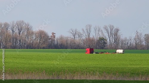 Red Agricultural Machinery Parked in a Lush Green Spring Field