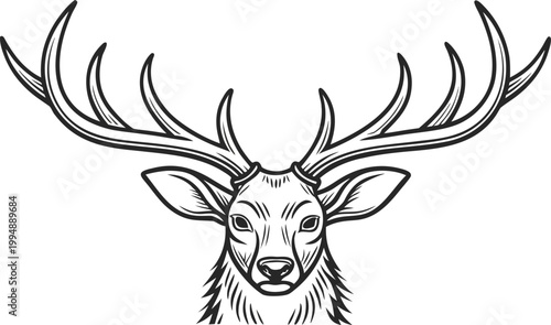 Black and white hand drawn reindeer head with antlers