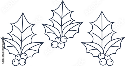 Minimal black holly leaves with red berries set holly berries