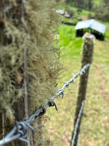Poste con alambre de púas en el campo