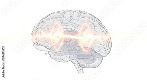 A vector graphic illustration of a human brain with a glowing light effect across it