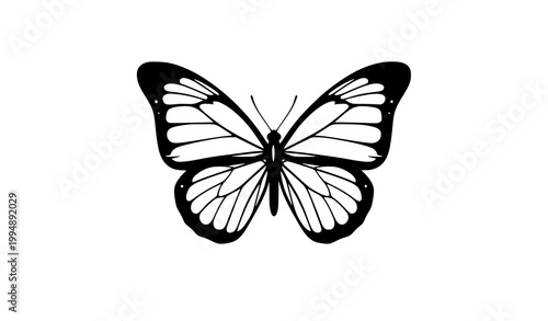 Butterfly vector illustration with elegant black winged insect isolated on white background