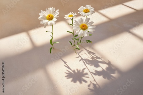 Flowers on a Surface With Shadows Created by Sunlight at a Bright Time of Day