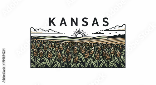 Stylized depiction of a ripe sorghum field at sunrise with the word Kansas above
