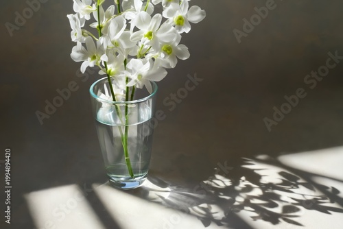 Orchid Flowers in a Clear Vase With Sunlight Creating Shadows on the Wall