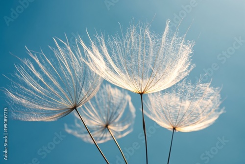 Delicate Plants With Soft Fibers in Front of a Blue Sky During Daylight