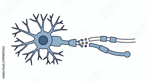 Stylized illustration of a nerve cell with dendrites, axon, and synaptic vesicles