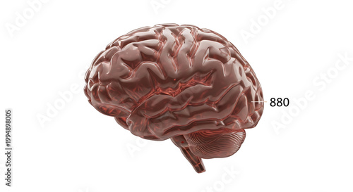 A detailed illustration of a human brain with highlighted areas and a number on a white background