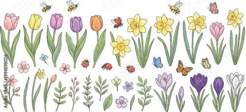 Vibrant spring collection with tulips daffodils crocuses ladybugs butterflies and bees scattered on transparent background.