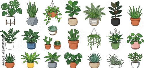 A large collection of various indoor house plants, succulents, and hanging decorative pots in a flat vector style illustration