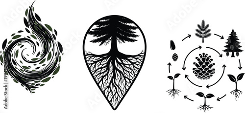 Abstract Swirl, Tree Roots, and Pine Life Cycle Vector Graphics