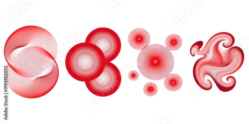 red blood cells isolated