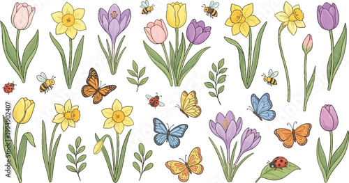 Charming spring garden illustration featuring tulips daffodils crocuses butterflies and bees.