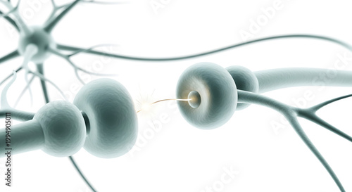 A detailed illustration of neurons and their connections in the human brain