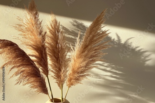 Decorative Plants in a Vase Casting Shadows on a Wall in Natural Light