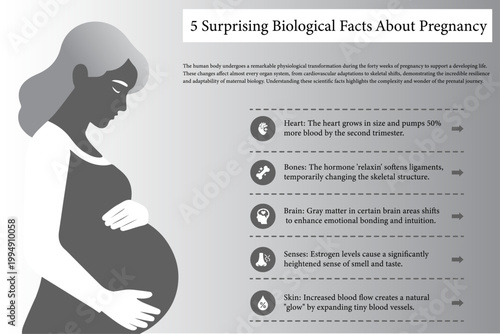 Educational infographic titled "5 Surprising Biological Facts About Pregnancy" featuring a pregnant woman silhouette and icons explaining body changes during gestation.