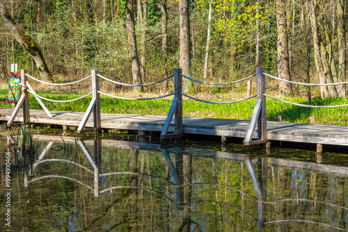 Fotografie Wooden boardwalk over a calm forest pond, scenic path with reflections in water