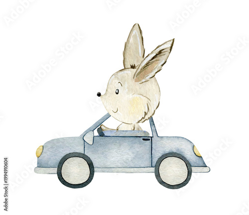 Watercolor vector illustration. Rabbit rides in the car.