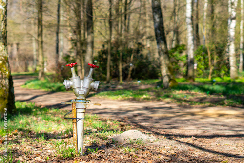 Принти на полотні Metal bifurcated fire hydrant standpipe on a forest path – industrial firefighting equipment in nature, detailed shot of water infrastructure in the woods on a sunny spring day