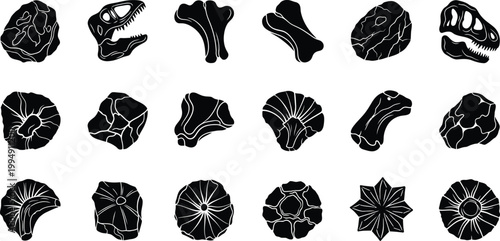 A collection of black and white vector illustrations of various fossilized plants and animals