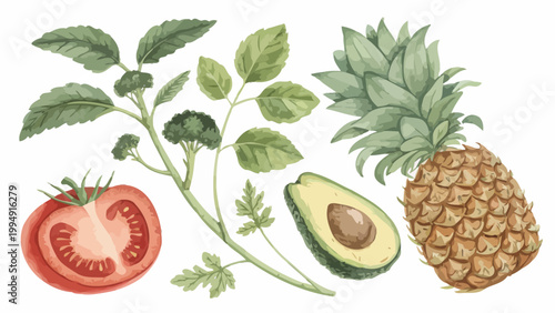 Watercolor illustration of a collection of fresh vegetables and fruits including a sliced tomato, broccoli, avocado, and a whole pineapple