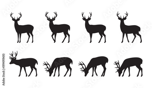 Silhouette deer set standing grazing and looking sideways with large antlers in natural habitat woodland.