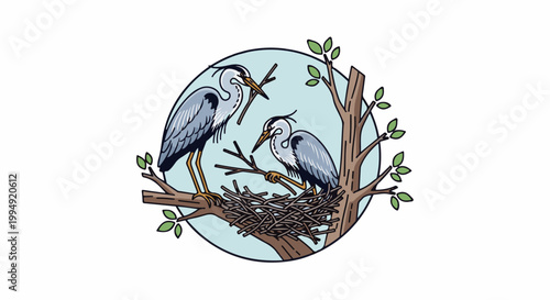 Two herons building a nest on a tree branch