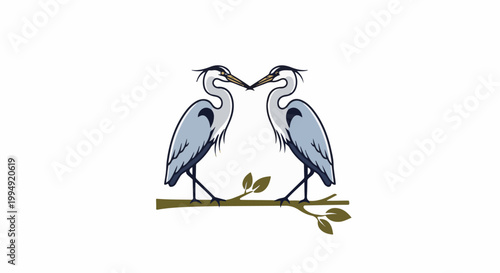 Two herons on a branch, facing each other, on a white background