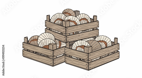 Three stacked wooden crates filled with scallops