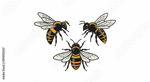 Three stylized bees with black and yellow stripes and translucent wings fly on a white background