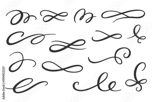 Bild auf Leinwand Collection of black decorative swirls and flourish elements, perfect for design