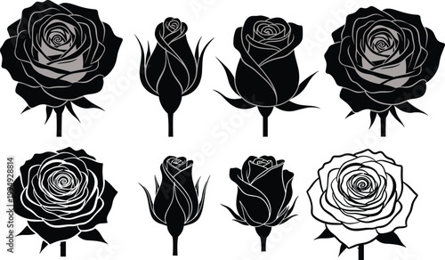 Collection of stylized rose illustrations showing different artistic variations, floral designs, blooming stages, botanical sketches, decorative flower artwork for creative projects