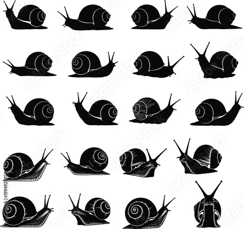 Collection of snail silhouette illustrations arranged in grid pattern, showing diverse shell shapes, body positions, and tentacle orientations