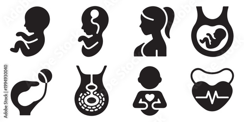 Pregnancy and Fetal Development Icon Set
