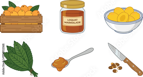 Loquat Fruit and Marmalade Vector Set with Fresh Crate, Jam Jar, Bowl of Peeled Loquats, Leaves, Spoon, Knife, and Seeds Illustration