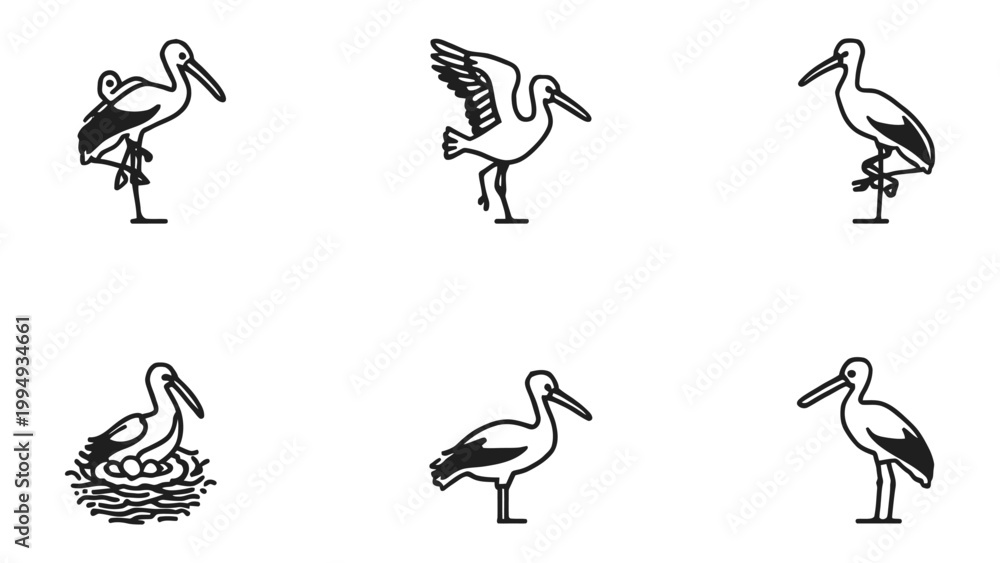 Fototapeta premium Stork Illustration Set: A collection of simple, elegant illustrations showcasing the stork in various poses, from standing gracefully to perched on a nest. Perfect for design projects.