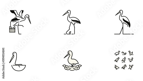 Stork Collection Illustrations: A collection of stylized stork illustrations in various poses, perfect for design and thematic projects. 