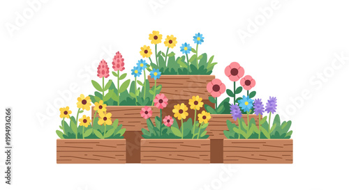 colorful flowers in wooden planters on white background