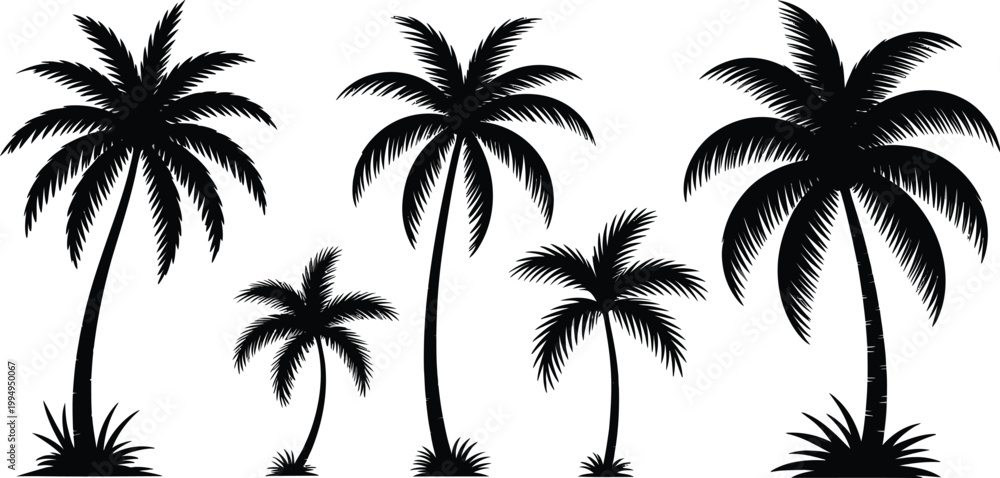 Fototapeta premium Black palm tree silhouettes, tropical icons, palm tree set, vector graphics