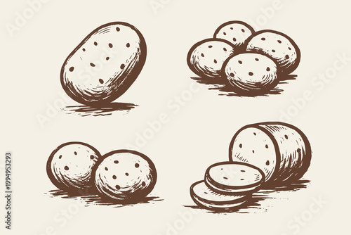 Potato doodle vector illustration set with whole sliced and grouped tubers in rustic hand drawn farm style