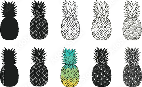 Pineapple illustration set with silhouette, outline and textured styles in tropical fruit design collection