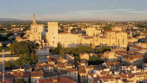 View of Avignon with Palais des Papes during sunset in Southern France. Medieval architecture along the Rhone River in Avignon, Provence, France. The Palais des Papes in Avignon, South France.
